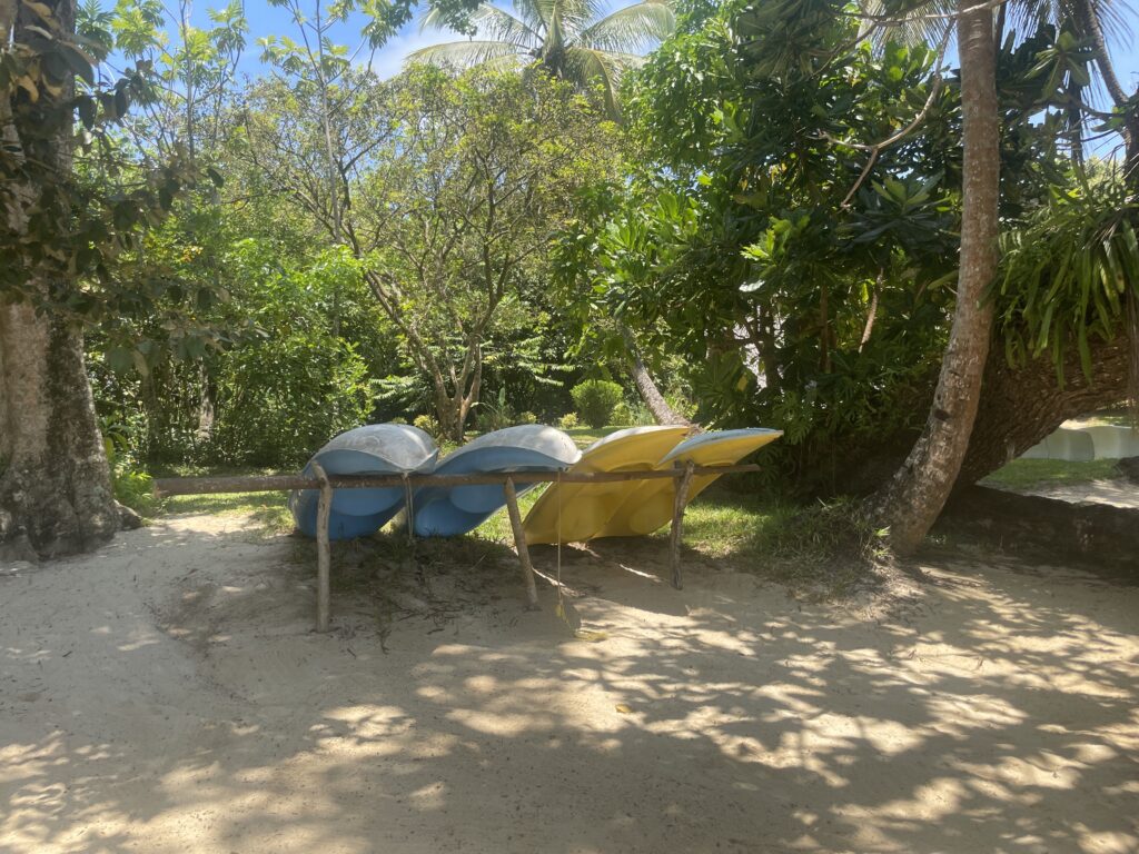 Kayaking at Ile aux Nattes